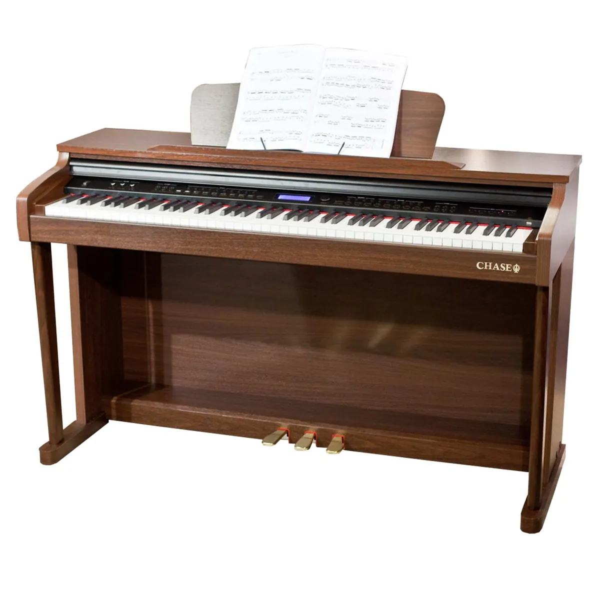 Pianos y teclados