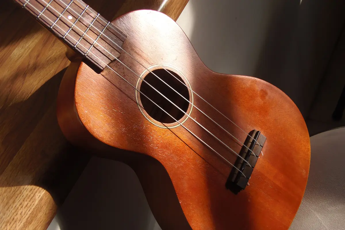 Cuerpo de un ukelele de concierto de caoba con la boca y el puente a la vista