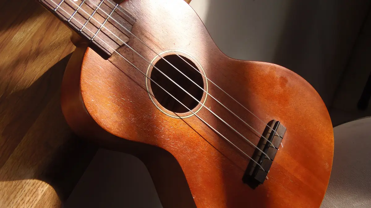 Cuerpo de un ukelele de concierto de caoba con luz natural, con la boca, las cuatro cuerdas y el puente a la vista